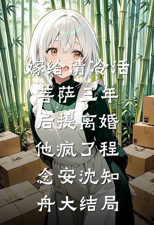 嫁给清冷活菩萨三年后提离婚，他疯了程念安沈知舟大结局