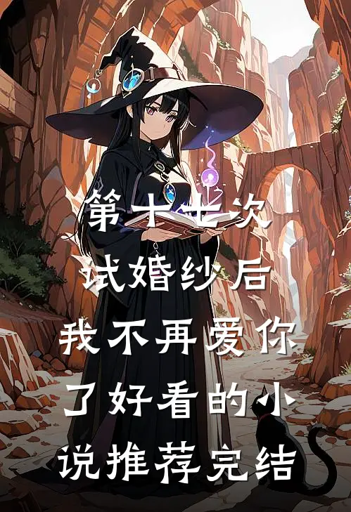 第十七次试婚纱后，我不再爱你了好看的小说推荐完结