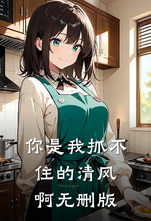 你是我抓不住的清风啊无删版