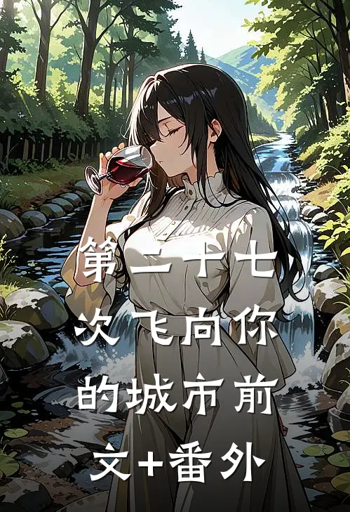 第二十七次飞向你的城市前文+番外