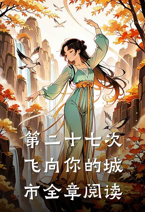 第二十七次飞向你的城市全章阅读