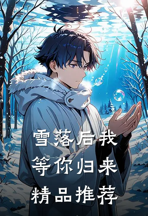雪落后我等你归来精品推荐