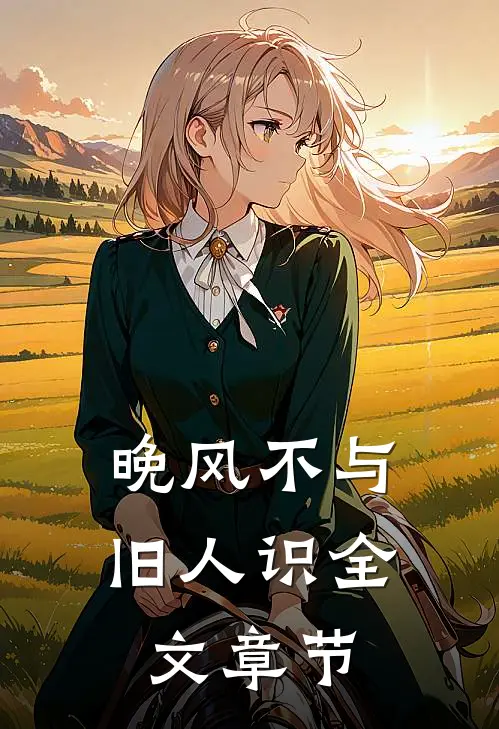 晚风不与旧人识全文章节