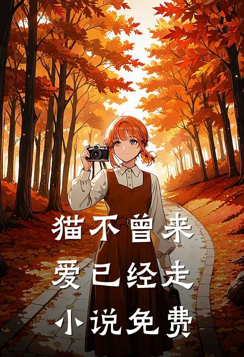 猫不曾来，爱已经走小说免费