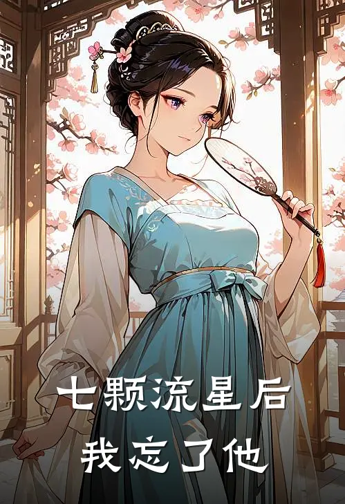七颗流星后，我忘了他