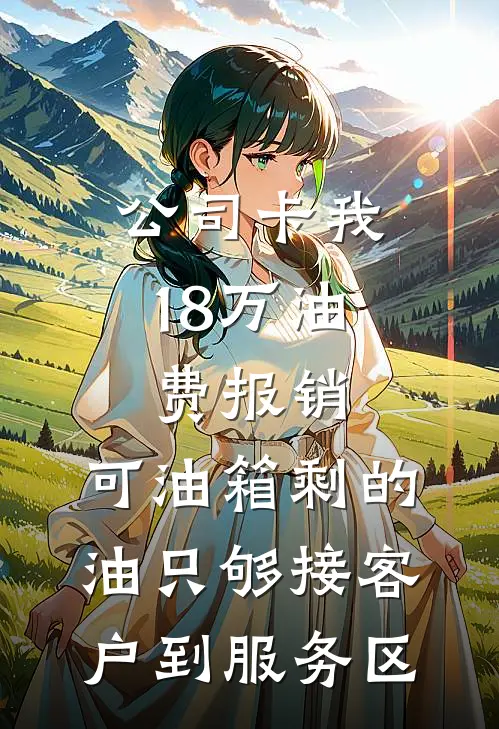 公司卡我18万油费报销，可油箱剩的油只够接客户到服务区