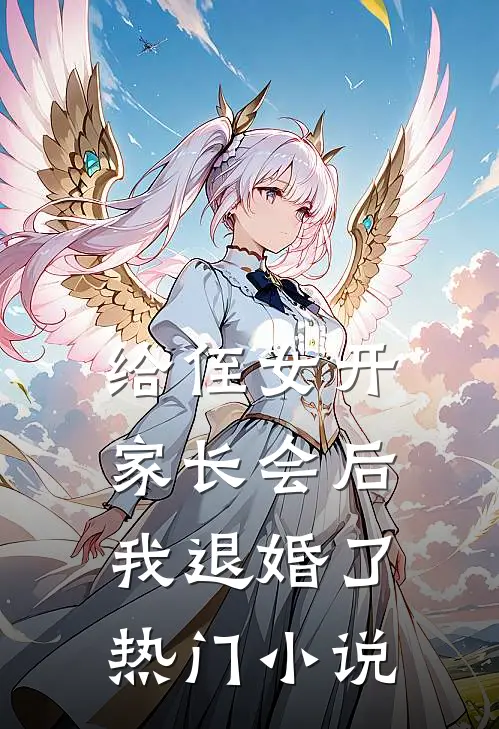 给侄女开家长会后，我退婚了热门小说