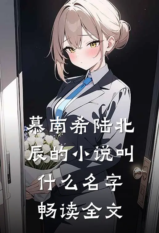 慕南希陆北辰的小说叫什么名字畅读全文