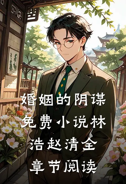 婚姻的阴谋免费小说林浩赵清全章节阅读