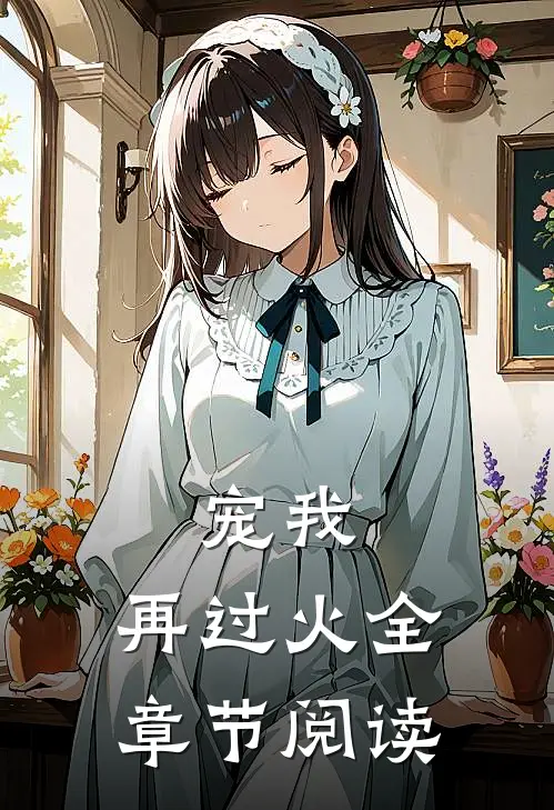 宠我，再过火全章节阅读