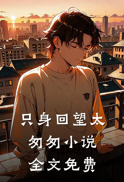 只身回望太匆匆小说全文免费