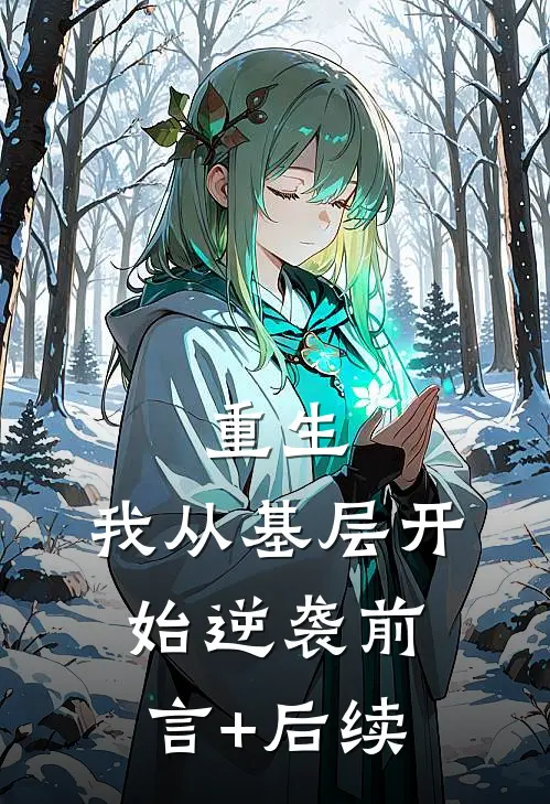 重生：我从基层开始逆袭前言+后续