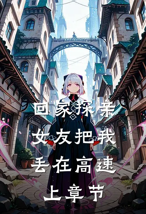 回家探亲，女友把我丢在高速上章节