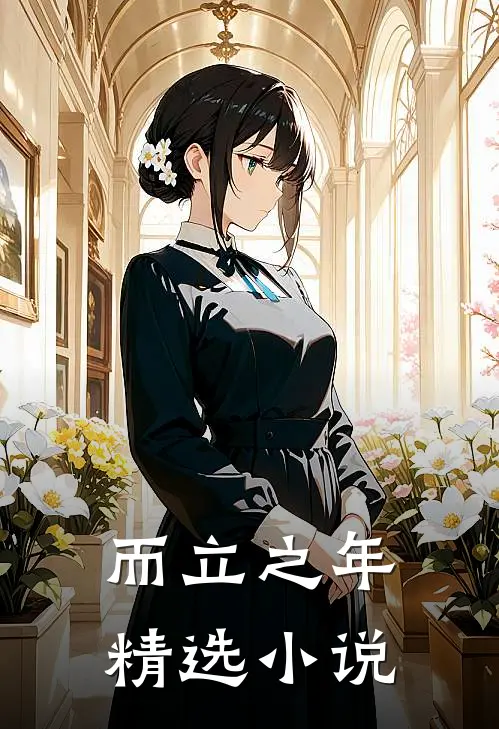 而立之年精选小说
