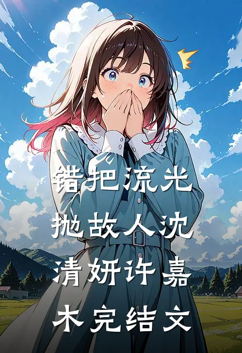 错把流光抛故人沈清妍许嘉木完结文