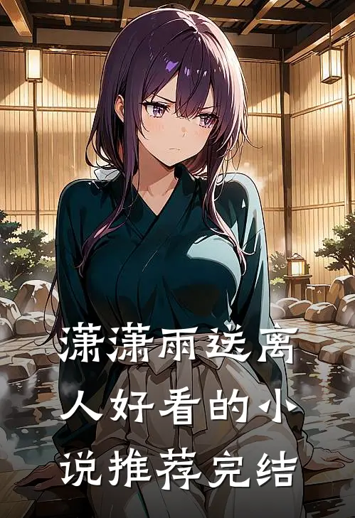 潇潇雨送离人好看的小说推荐完结