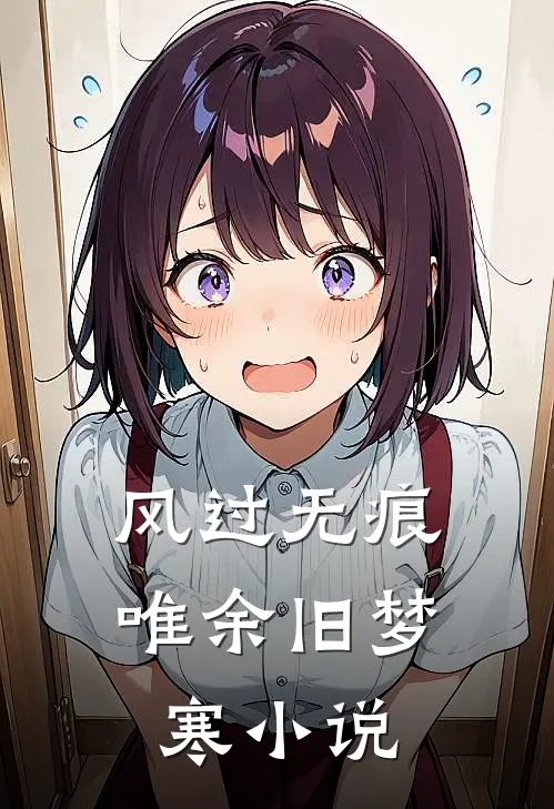 风过无痕，唯余旧梦寒小说