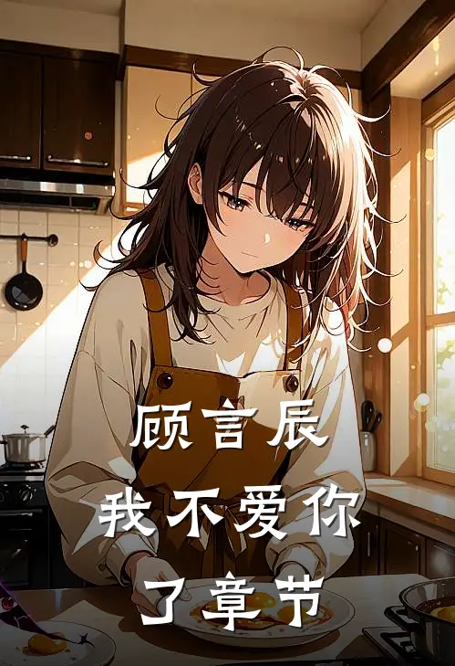 顾言辰，我不爱你了章节