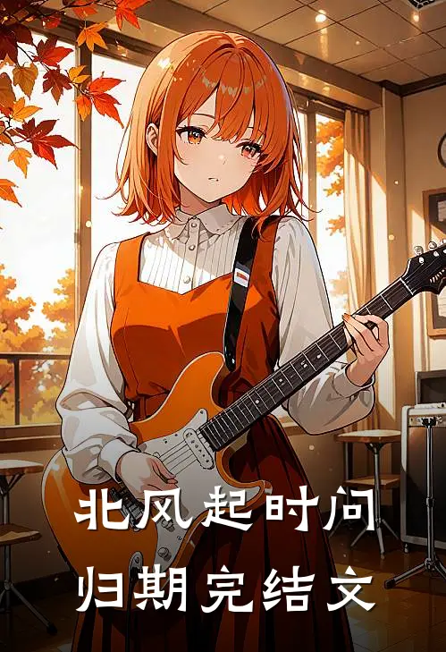 北风起时问归期完结文