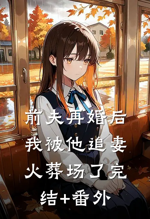 前夫再婚后，我被他追妻火葬场了完结+番外