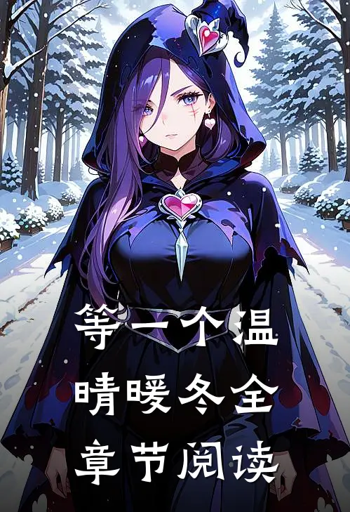 等一个温晴暖冬全章节阅读