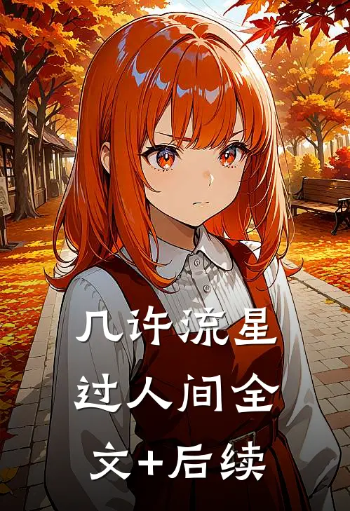 几许流星过人间全文+后续
