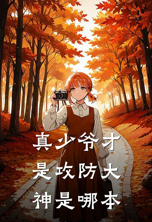 真少爷才是攻防大神是哪本