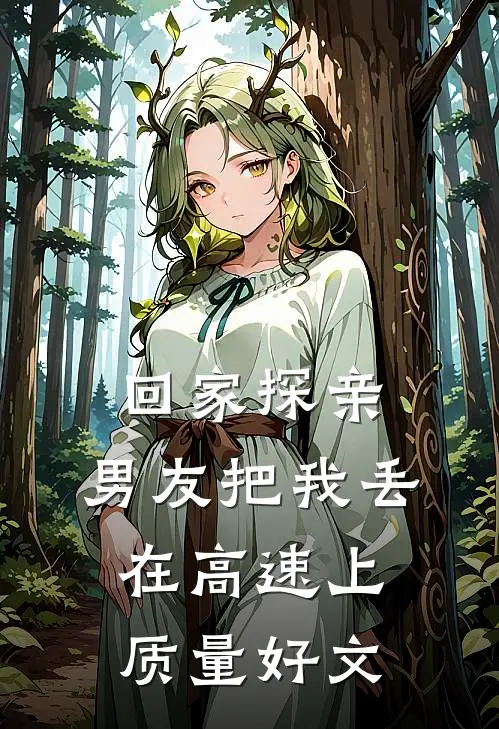 回家探亲，男友把我丢在高速上质量好文