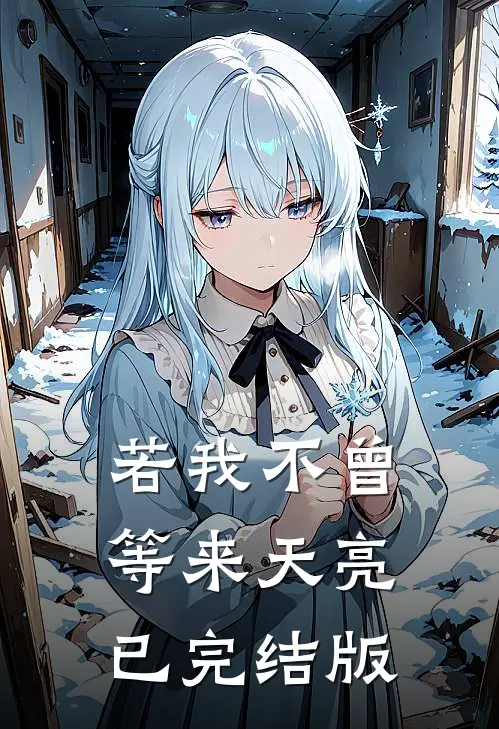 若我不曾等来天亮已完结版