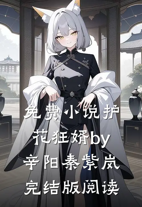 免费小说护花狂婿by辛阳秦紫岚完结版阅读