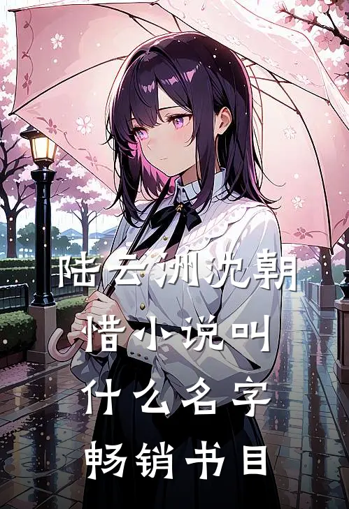 陆云洲沈朝惜小说叫什么名字畅销书目