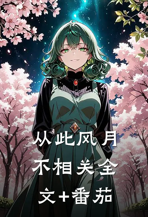 从此风月不相关全文+番茄