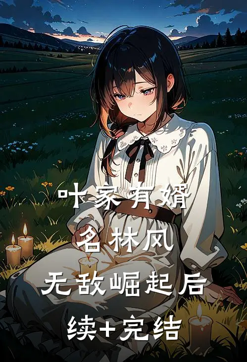 叶家有婿名林风：无敌崛起后续+完结
