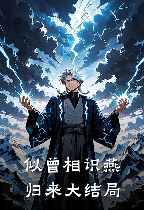 似曾相识燕归来大结局