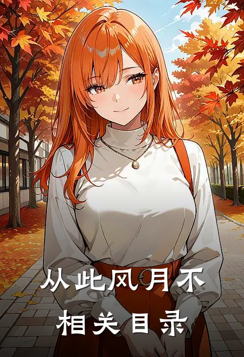 从此风月不相关目录