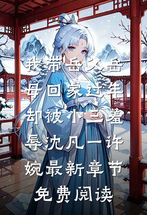 我带岳父岳母回家过年，却被小三羞辱沈凡一许婉最新章节免费阅读