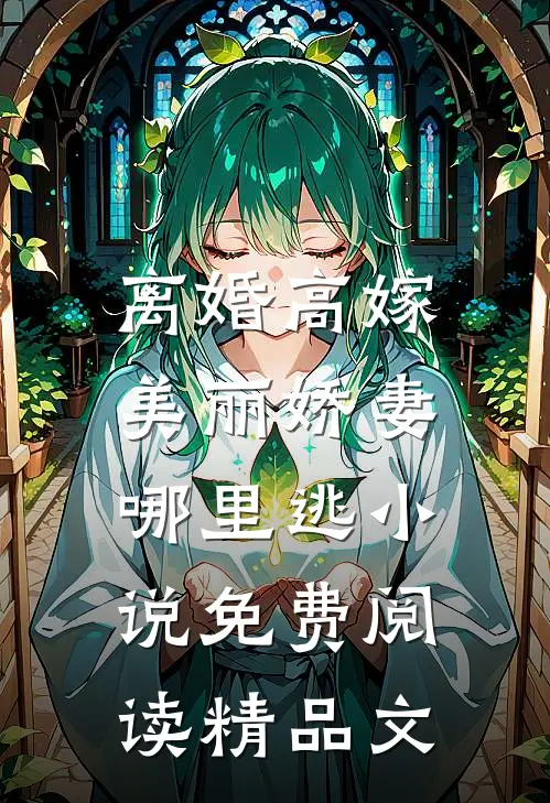 离婚高嫁:美丽娇妻哪里逃小说免费阅读精品文