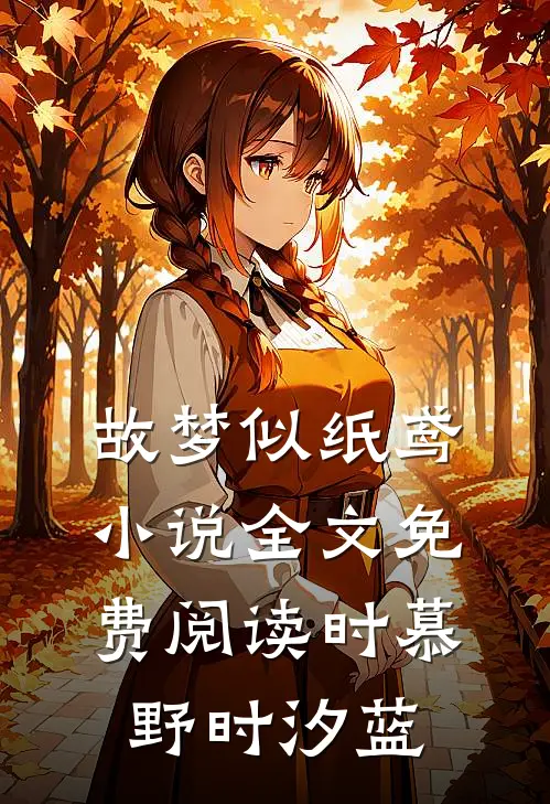 故梦似纸鸢小说全文免费阅读时慕野时汐蓝