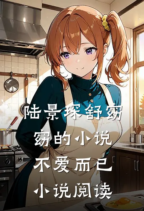 陆景琛舒窈窈的小说不爱而已小说阅读