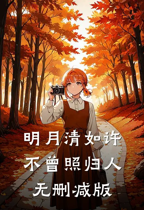 明月清如许，不曾照归人无删减版