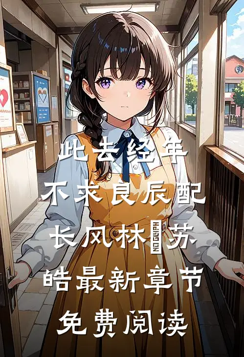 此去经年：不求良辰配长风林玥苏皓最新章节免费阅读
