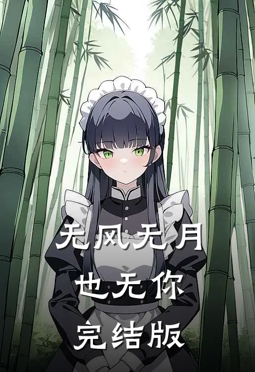无风无月也无你完结版