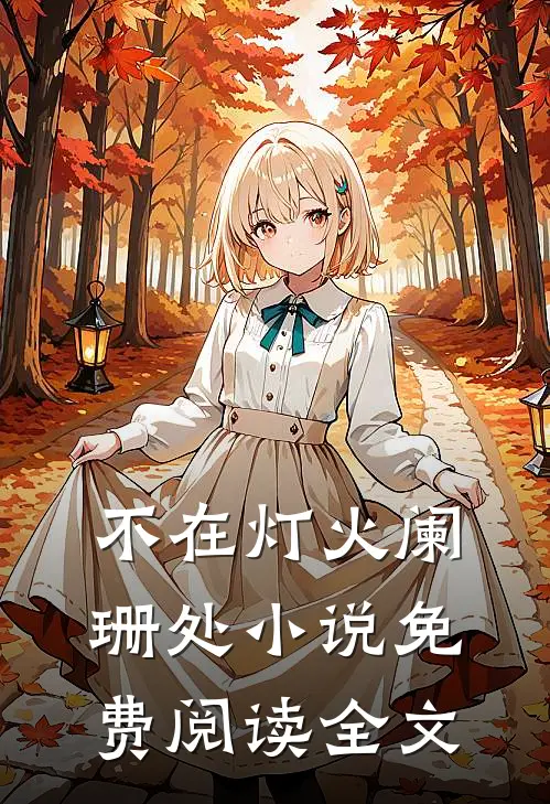 不在灯火阑珊处小说免费阅读全文