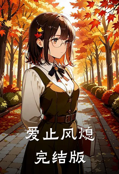 爱止风熄完结版