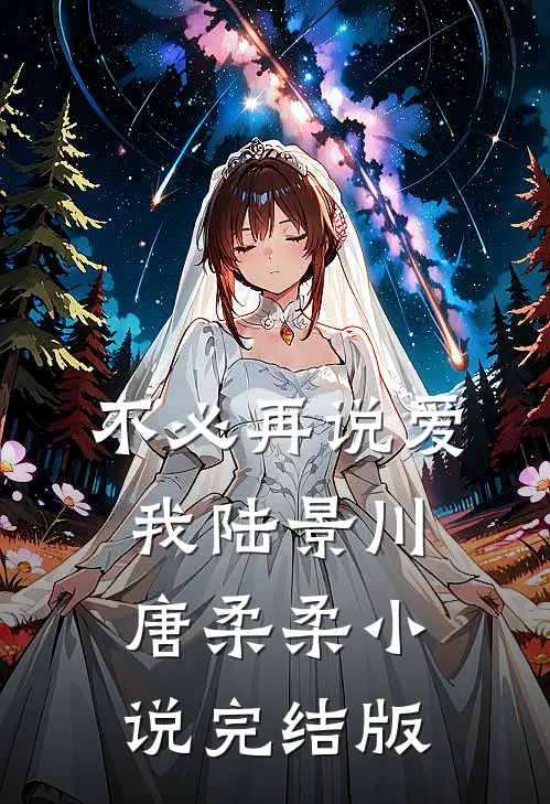 不必再说爱我陆景川唐柔柔小说完结版