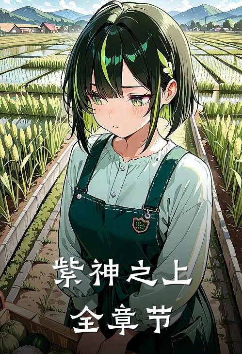 紫神之上全章节
