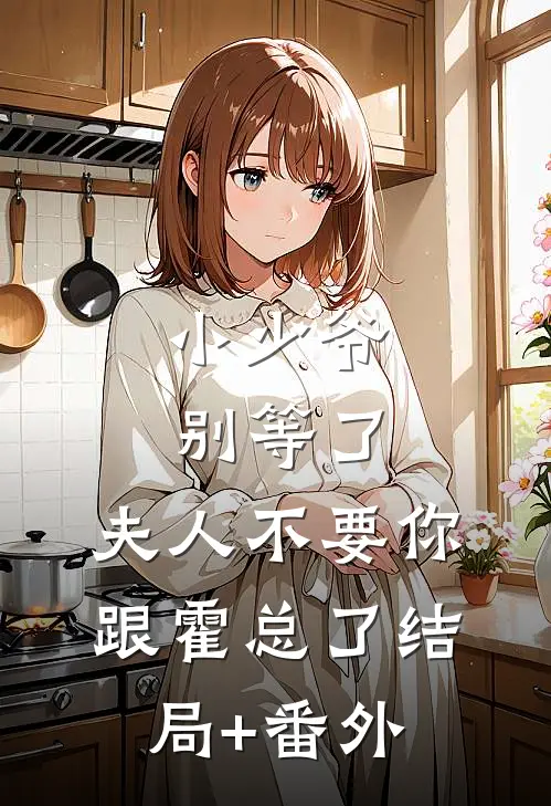 小少爷别等了，夫人不要你跟霍总了结局+番外