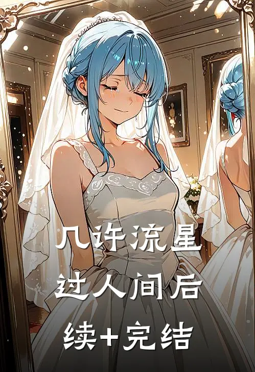 几许流星过人间后续+完结