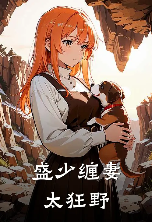 盛少缠妻太狂野