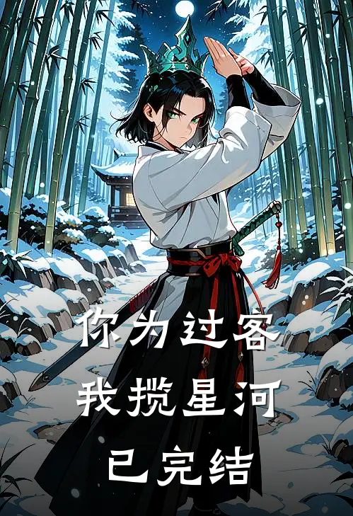 你为过客，我揽星河已完结